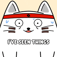 Shocked White Cat GIF by MESA My Emotional Support Animal