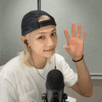 Stray Kids Skz GIF