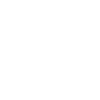 dieselrcorp logo white crown king Sticker