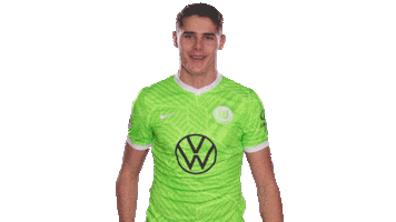 In Love Football Sticker by VfL Wolfsburg