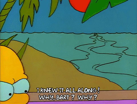 Season 1 GIF by The Simpsons