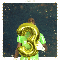 Soccer Futebol GIF by SE Palmeiras