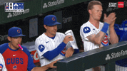 Chicago Cubs Baseball GIF