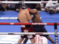 toprank fight boxing fighting espn GIF