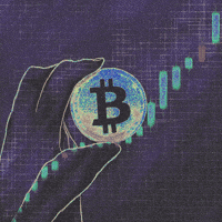 Crypto Feeling GIF