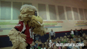 football nfl GIF by Atlanta Falcons