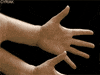 Hands GIF