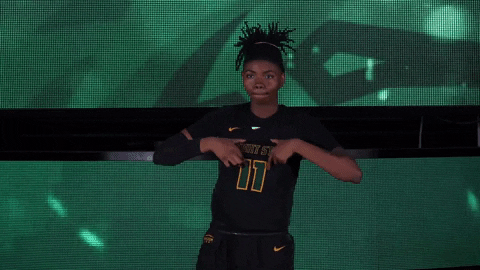 Ncaa Sports Sport GIF by Wright State University Athletics