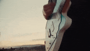 polyvinylrecords guitar band sunset memory GIF
