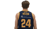 Basketball Hoops Sticker by Basket_fi