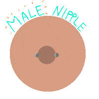 Piercing Free The Nipple Sticker