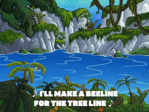 season 6 GIF by SpongeBob SquarePants