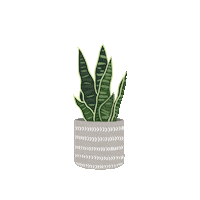 House Plant Sticker