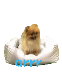 아르르 Sticker by arrr_official