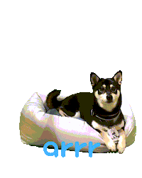 아르르 Sticker by arrr_official
