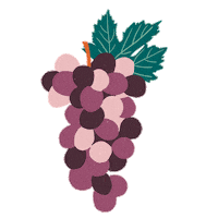 flobeaut wine fruit fruits vin Sticker