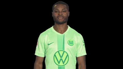 Germany No GIF by VfL Wolfsburg