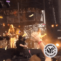 governors ball GIF by GOVBALL NYC