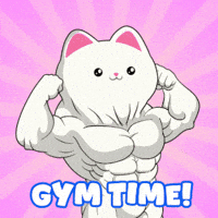 Cat GIF by Silly Kitties