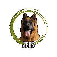 German Shepherd Zeus Sticker by Asilo per cani Dog'sMind