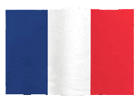 France Flag Sticker by Meltdown Flags