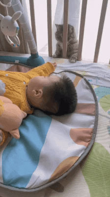 cuteanimalland giphyupload GIF