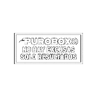 Club Social Boxing Sticker by Puroboxr