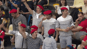 World Rugby Sport GIF by Rugby World Cup
