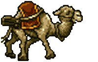 Camel Sticker