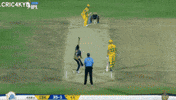 Sunil Narine Ipl GIF