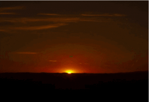 someday GIF