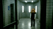 fox GIF by Proven Innocent