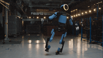 Tripping World Cup GIF by Hyundai