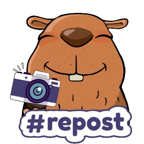 Capivara Cacapava Sticker by Caçapava Oficial