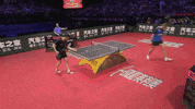 china fun GIF by ITTFWorld
