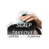 Scalp Care Sticker by Aveda Florida