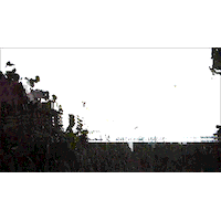 submission local savannah GIF by The Savannah .GIF Festival