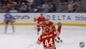 Happy Red Wings GIF by NHL