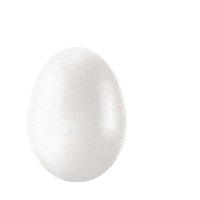 CuboAi birthday health sleep egg Sticker
