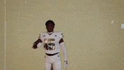 Georgia Tech Football Sport GIF by Georgia Tech Yellow Jackets