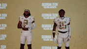 Georgia Tech Football Sport GIF by Georgia Tech Yellow Jackets