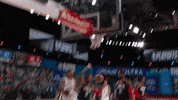 Nba Playoffs Sport GIF by NBA