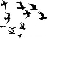 Sakhalin Сахалин Sticker