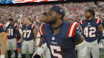Football Nfl GIF by New England Patriots