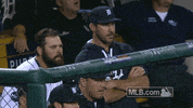 celebrate detroit tigers GIF by MLB