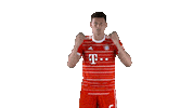 French Football Sticker by FC Bayern Munich