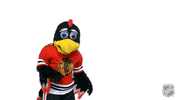 Happy Chicago Blackhawks GIF by NHL