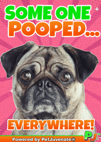 Puppy Dog Eyes GIF by PetJuvenate