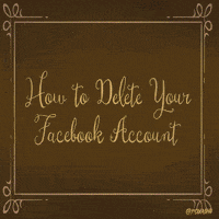 foxadhd GIF by Animation Domination High-Def