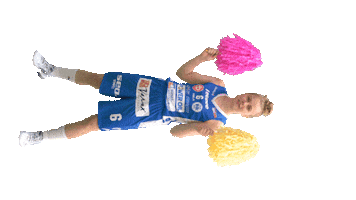 Basket_fi sport basketball koripallo koris Sticker